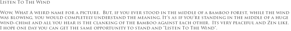 Listen To The Wind Wow, What A weird name for a picture. But, if you ever stood in the middle of a bamboo forest, while the wind was blowing, you would completely understand the meaning. It's as if you're standing in the middle of a huge wind-chime and all you hear is the clanking of the bamboo against each other. Its very peaceful and Zen like. I hope one day you can get the same opportunity to stand and "Listen To The Wind". 